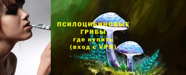 гидропоника Дмитров
