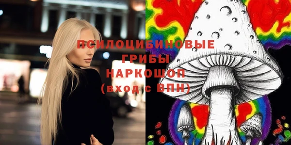 кокс Дмитровск